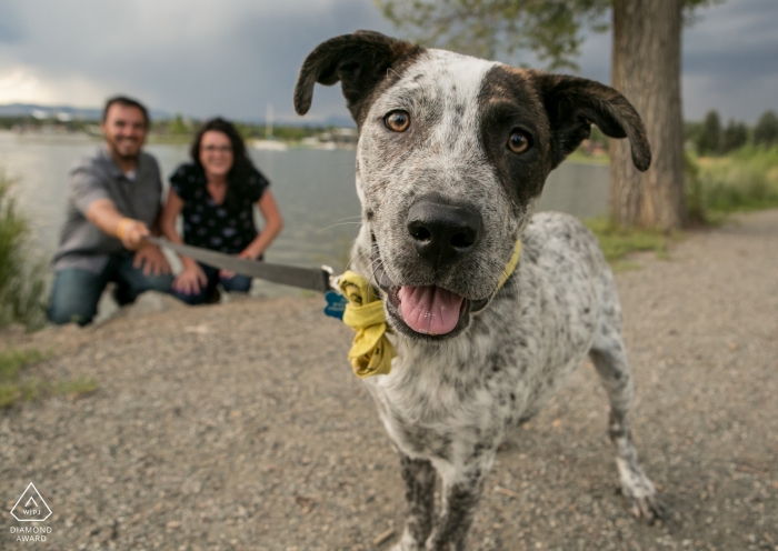 Photo by: <a href="https://www.wpja.com/photos/diamond-award-top-wedding-engagement-photographer/2356811">Alison MacLean - Wheat Ridge Colorado Denver engagement photography portrait session of a couple near the lake with their dog
