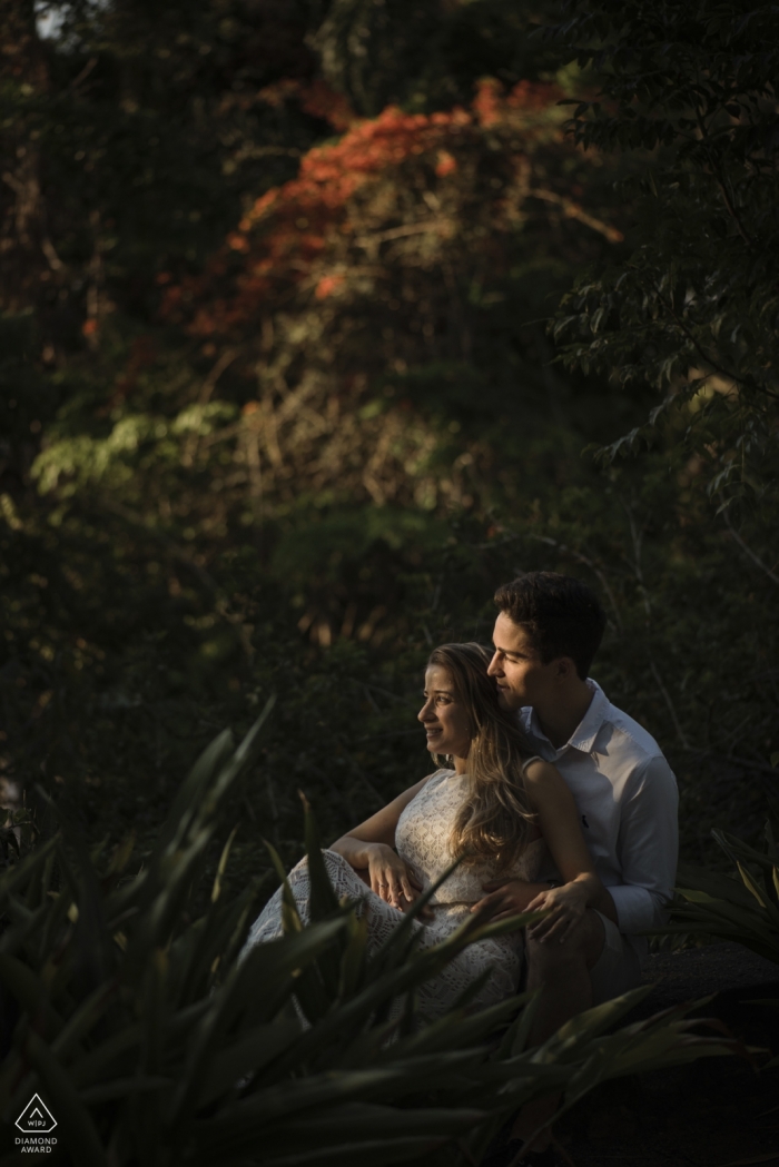 Rio de Janeiro Brazil engagement photo in the trees Wedding photographer in Rio de Janeiro for Brazil engagement photography