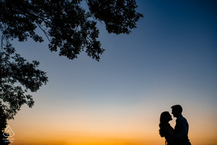 Sesión de compromiso de Madison, Wisconsin, de una pareja al atardecer bajo un árbol Memorial Union Terrace fotografía de compromiso | Sesión de compromiso - Madison, Wisconsin