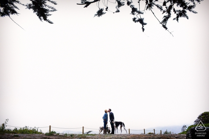 Séance au parc de San Francisco et portraits de fiançailles en Californie du Nord