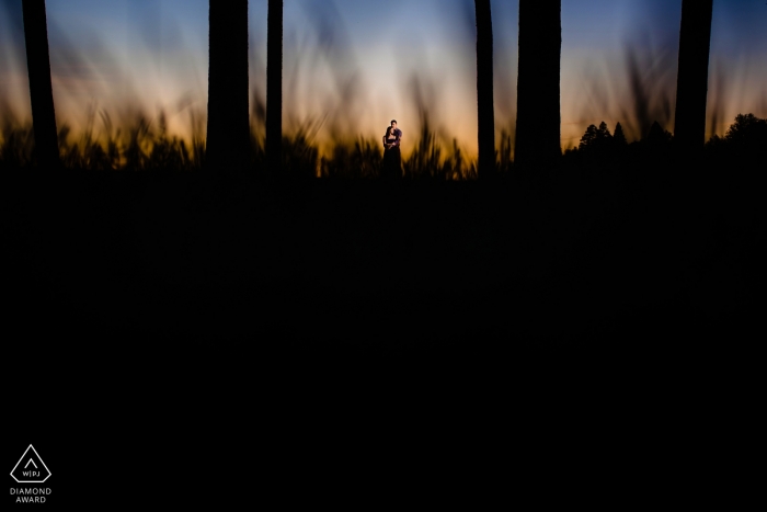 Vermont engagement image of a couple in the tall grass and trees at sunset