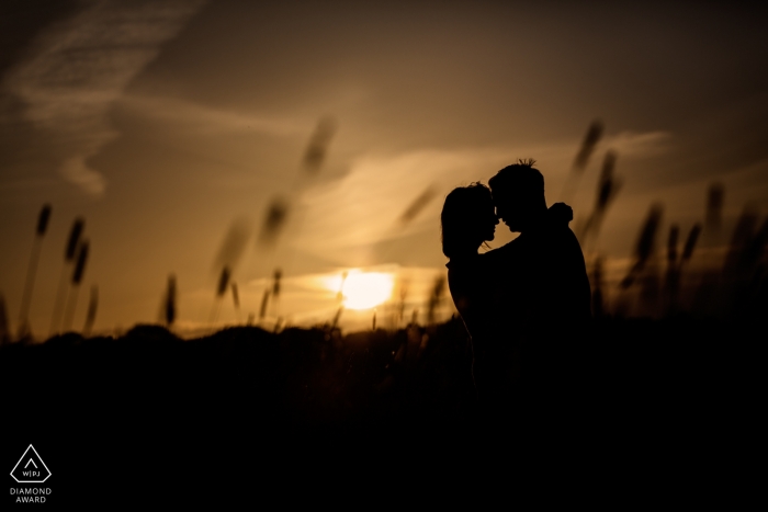 Fotografia pré-casamento das Ilhas do Canal em uma sessão de fotos do pôr do sol na grama alta