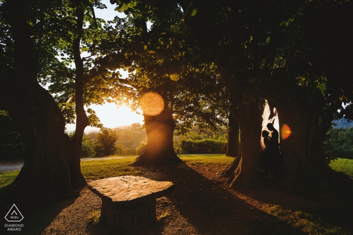 The engaged Slovenia couple stands at the base of a massive tree