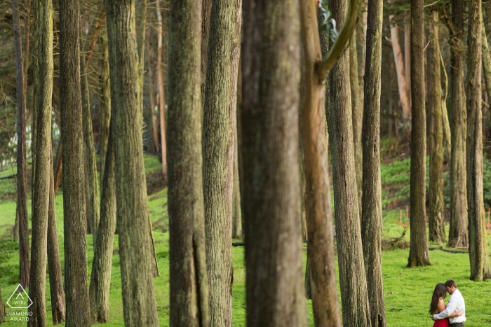 Northern California couple in a forest of bare tree trunks and a lush green floor