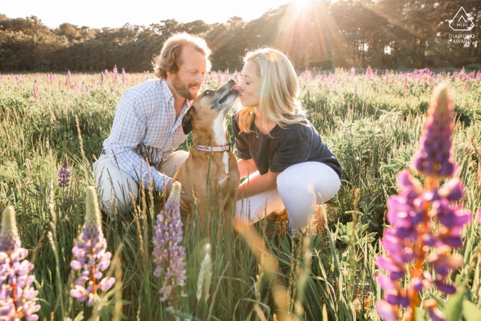 Foto door: <a href="https://www.wpja.com/photos/diamond-award-top-wedding-engagement-photographer/2412941"> Katie Kaizer - Nantucket Massachusetts Katie Kaizer, uit Massachusetts, is een trouwfotograaf voor