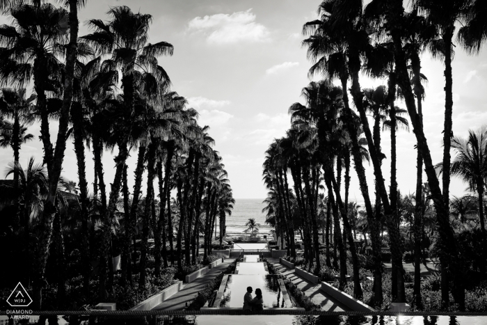 Jalisco couple sitting by the water framed by rows of tall palms during a BW engagement shoot