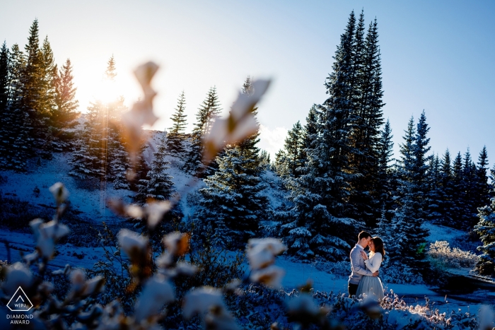 Retrato de pareja en Colorado con un telón de fondo de pinos mientras sale el sol