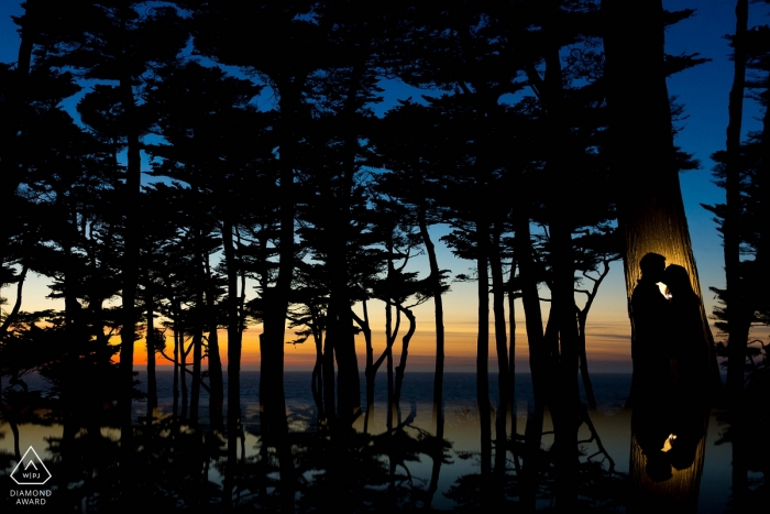 California couple in the sunset beach scene against a large tree trunk