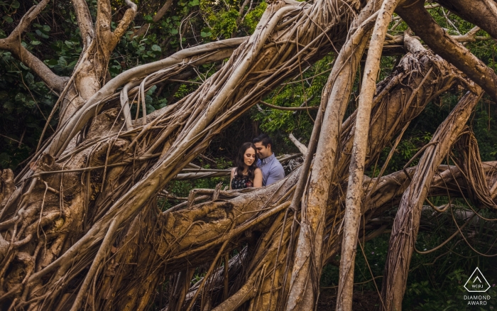 The Georgia couple embraced behind winding tree roots of a forest