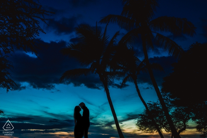 Foto: <a href="https://www.wpja.com/photos/diamond-award-top-wedding-engagement-photographer/2381491"> Raymond Nguyen - Sacramento, Kalifornien Raymond Nguyen, aus Kalifornien, ist ein Hochzeitsfotograf für