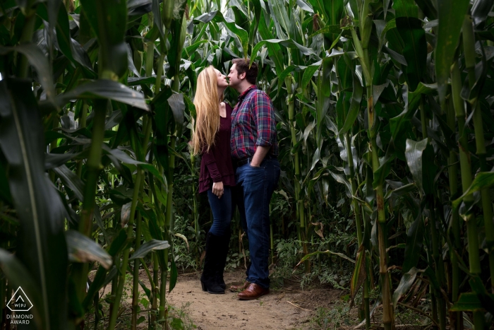 Vermont couple stands in a sun-drenched corn field