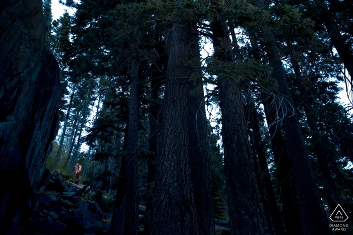 Questa coppia californiana era sminuita nella fitta foresta