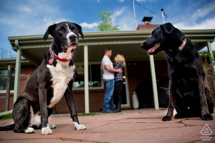 Arvada, CO photographie de fiançailles avec des chiens