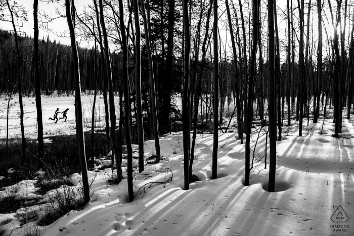 Séance de portrait d'engagement dans la passe de Kenosha dans les arbres et la neige | Photographie de mariage au Colorado