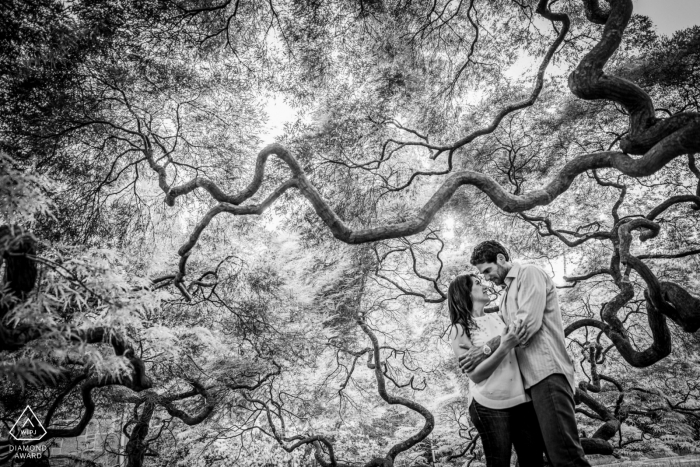 Portraits avant le mariage de Baltimore, Maryland - Sous les belles branches