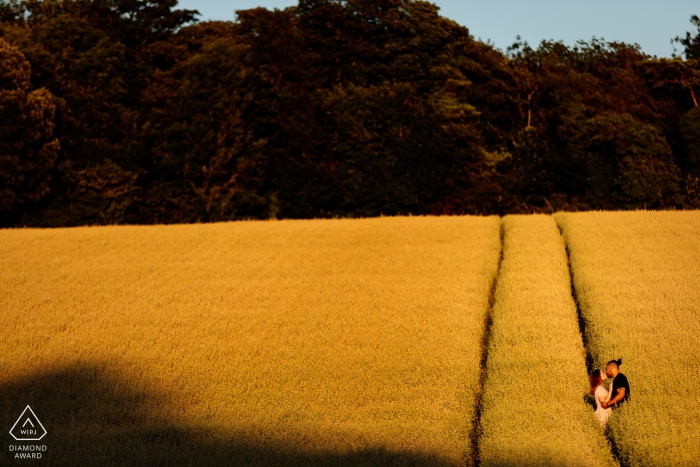 Engagement shoot with couple in the fields at sunset in Patrixbourne, Kent, UK 