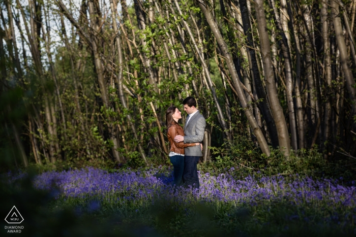 Una sessione di photoshoot di impegno di bluebell a Bishopsbourne, Risonanza, Regno Unito