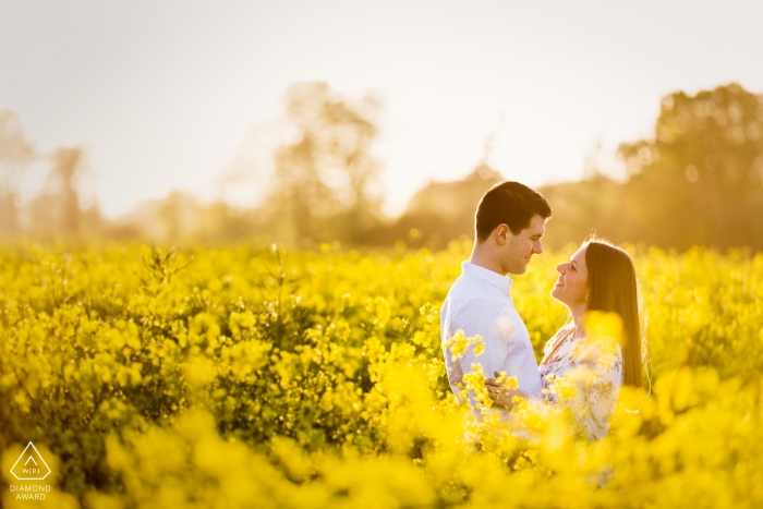 Tournage de fiançailles à Bridge, Kent, Royaume-Uni avec de hautes fleurs jaunes et la lumière du soleil