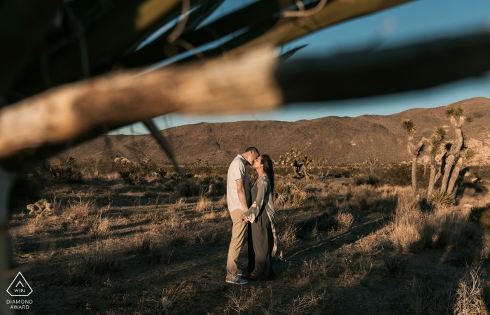 Séance photo d'engagement de Joshua Tree en Californie dans les collines