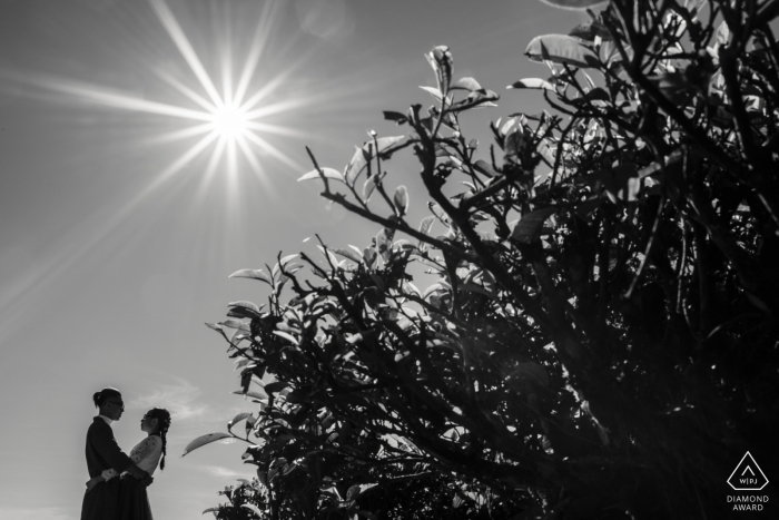 Photo by: <a href="https://www.wpja.com/photos/diamond-award-top-wedding-engagement-photographer/2417821">Nam Le - Ho Chi Minh Da Lat, Vietnam prewedding portraits - The growing leaves