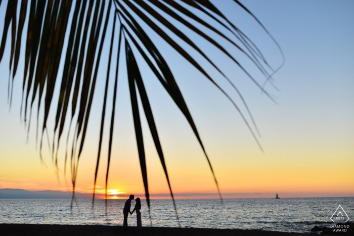 Peninsula Puerto Vallarta, Mexique Séance de portraits avec palmiers et coucher de soleil.