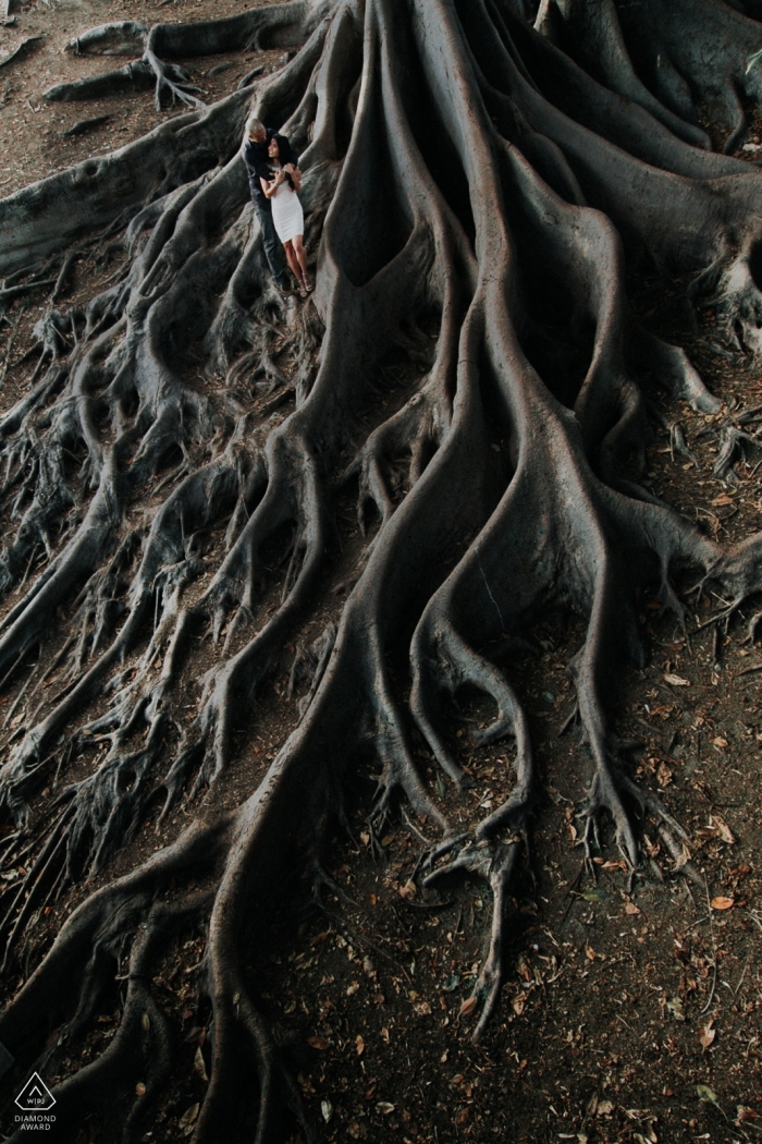 SAN DIEGO CA ENGAGEMENT PORTRAITS AT THE BASE OF A HUGE TREE WITH LARGE ROOT BASE