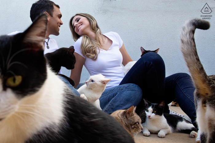 Sesión fotográfica de compromiso de Goiás con muchos gatos y una pareja.