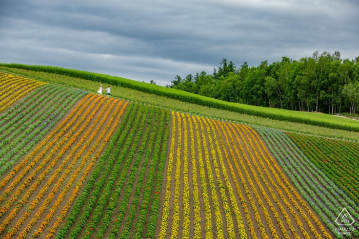 Hokkaido | flowers in the fields with the couple walking