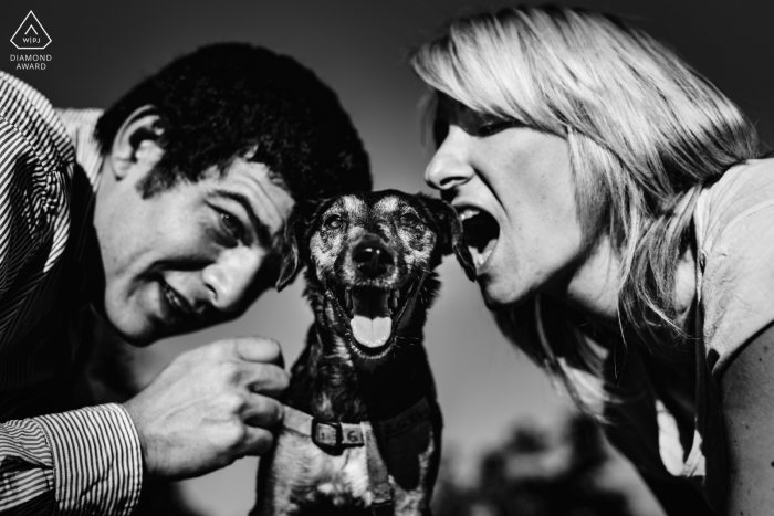 Chien et les humains | Photographe d'engagement Valladolid