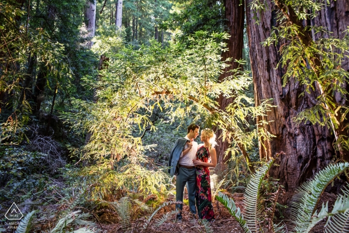 Monument national de Muir Woods | Fiançailles Portrait de couple dans les bois