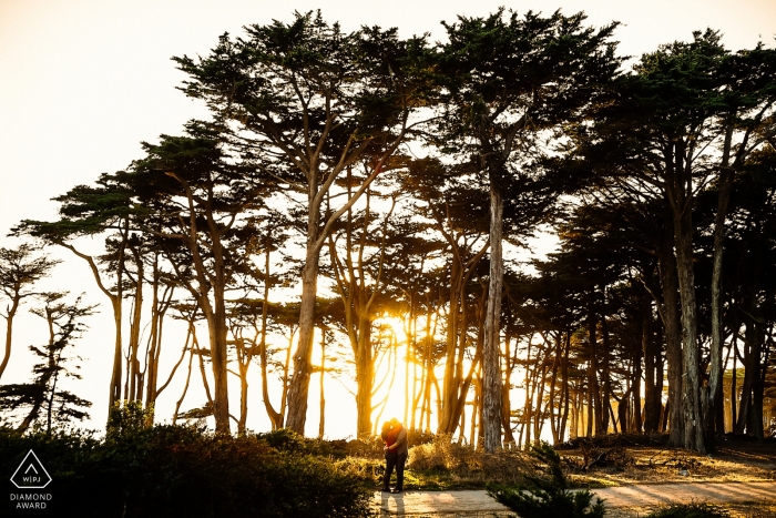 Portrait de fiançailles à San Francisco dans les arbres et au coucher du soleil