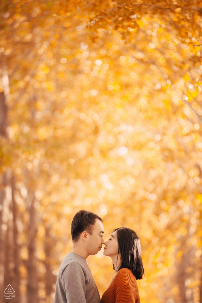 beijing yellow trees | Engagement Photography for china