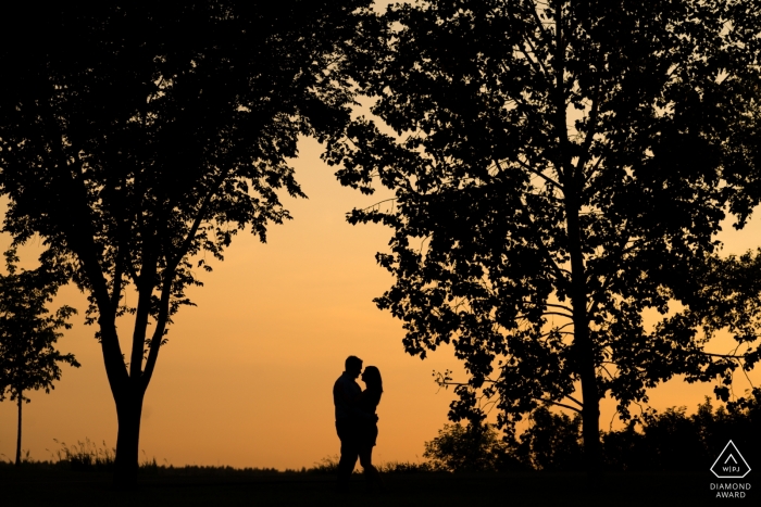 Edmonton, AB, Kanada Sunset Portraits in den Bäumen für das Engagement