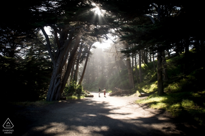 Photo by: <a href="https://www.wpja.com/photos/diamond-award-top-wedding-engagement-photographer/2427901">Stephanie Secrest - Arroyo Grande California Hand of God light in the trees of California - Engagement Photograph