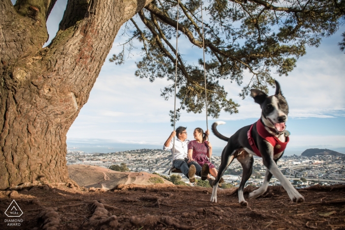 City view from this tree swing - California Engagement Photo with Dog City view from this tree swing - California Engagement Photo with Dog