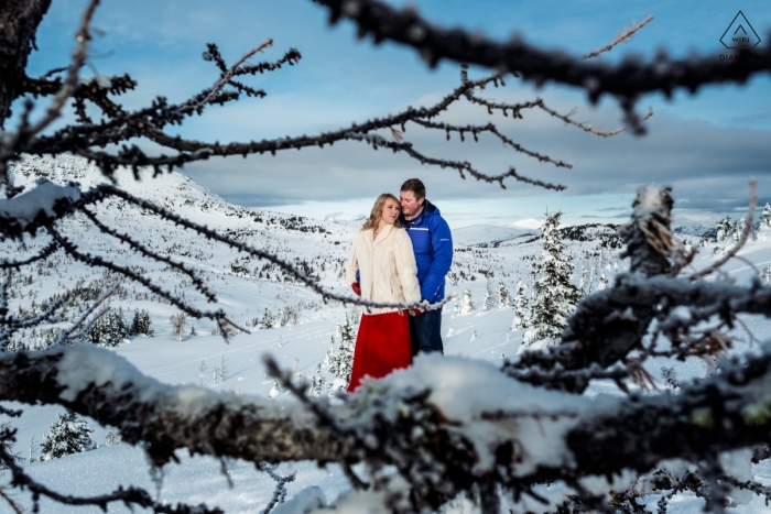 Winter Wonderland - Alberta Engagement Photographs dans la neige avec des arbres