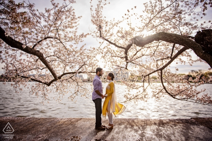 Cherry Blossom Engagement Portraits - Photographies d'engagement du Maryland