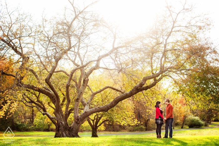 Photo by: <a href="https://www.wpja.com/photos/diamond-award-top-wedding-engagement-photographer/2427646">Michelle Arlotta - Milford New Jersey Fall Trees Shoot - New Jersey Engagement Session