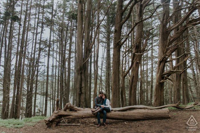 Ein verlobtes Paar aus San Francisco sitzt für ein Porträt mitten auf einem toten Baumstamm im Wald