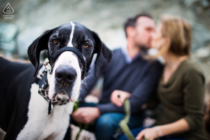 Photo by: <a href="https://www.wpja.com/photos/diamond-award-top-wedding-engagement-photographer/2429316">Chris Shum - Sunnyvale California The Dog's expression says it all! - California Engagement Photographs