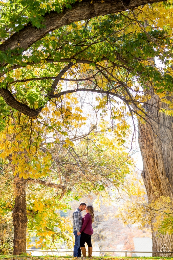 Foto: <a href="https://www.wpja.com/photos/diamond-award-top-wedding-engagement-photographer/2427476"> Kevin Sawyer - Lake Tahoe, Kalifornien Unter den Bäumen in Kalifornien - Pre-Wedding Engagement Photos
