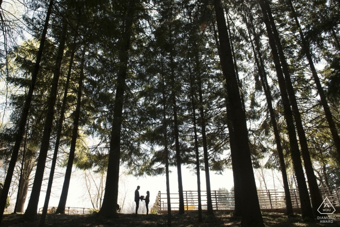 Photo by: <a href="https://www.wpja.com/photos/diamond-award-top-wedding-engagement-photographer/2434236">Massimiliano Beccati - Milano Milano Le Pinete - Viggiù - Varese | Italian engagement photo | silhouette portrait at the park with tall trees