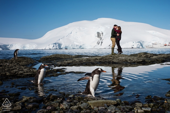 Photo by: <a href="https://www.wpja.com/photos/diamond-award-top-wedding-engagement-photographer/2450246">Kathleen Ricker - Linthicum Heights Maryland Antarctica engagement portraits - Couple Posing with the Penguins