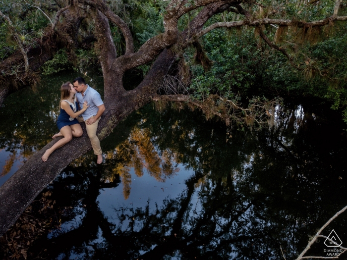 Key West Portraits vor der Hochzeit - Fun Engagement Session auf einem Baum über dem Wasser