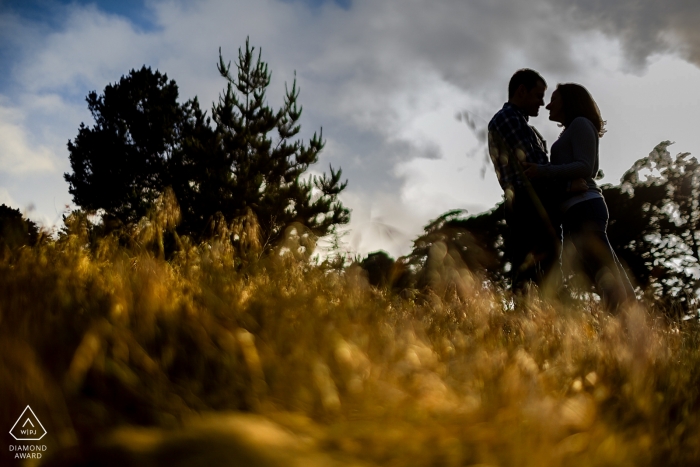 Fotografía de compromiso de San Francisco | Pareja cara a cara se recorta en la luz de la tarde