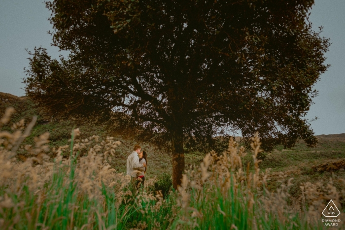 Bolívar Love session | pre-wedding portraits of a couple With a lone tree