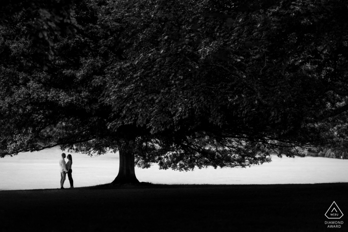 Foto von: <a href="https://www.wpja.com/photos/diamond-award-top-wedding-engagement-photographer/2430036"> Tom Beynon - Cambridge Cambridgeshire Himley Park, Birmingham Tree Silhouette Verlobungsportrait mit einem Paar in Schwarz-Weiß