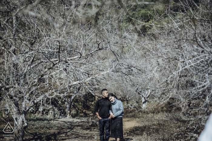 Cette photo de fiançailles avant le mariage a été prise à Moc Chau dans les arbres