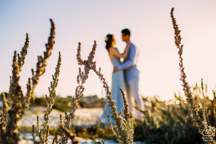 In this San Francisco engagement portrait shoot, the photographer focuses on a few branches of beach side plants while the couple embraces out of focus in the distance 