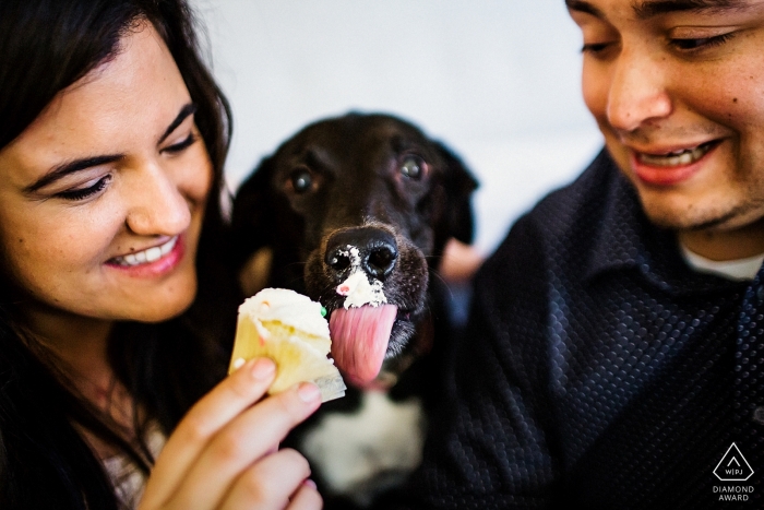 In diesem Verlobungsshooting in San Francisco wird ein glückliches Paar mit seinem eisliebenden Hund fotografiert